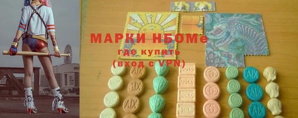 стаф Алзамай
