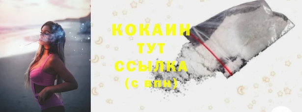 стаф Алзамай