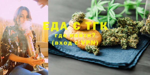 индика Аркадак