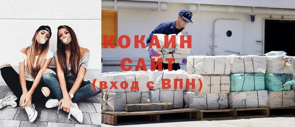 стаф Алзамай