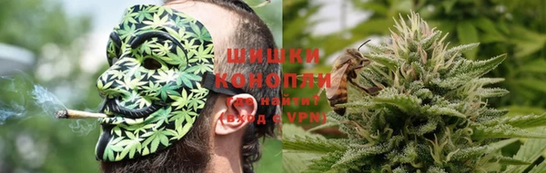 стаф Алзамай
