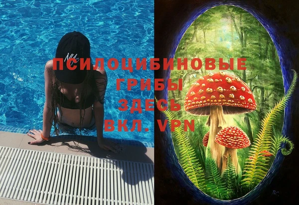 первитин Пересвет