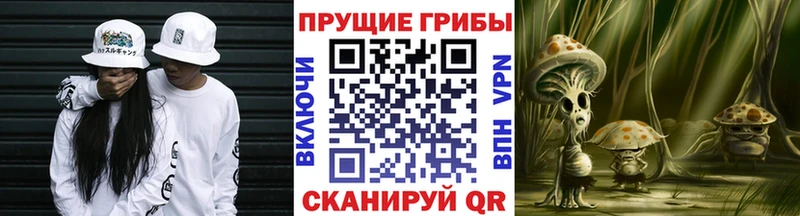 купить наркотики цена  мега вход  Псилоцибиновые грибы GOLDEN TEACHER  Каневская 